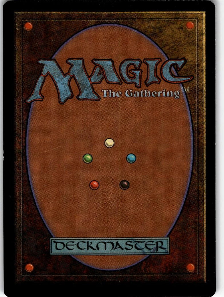 MTG Portal Python
